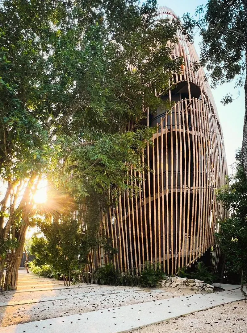 Cozy Eco Luxury Depto Cancun W Pool Apartment